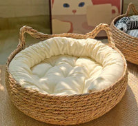 Cats